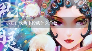 小丑在戏曲中扮演什么角色