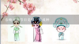 春晚戏曲节目是哪1类戏种