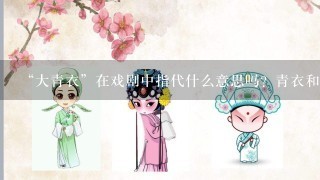 “大青衣”在戏剧中指代什么意思吗？青衣和花旦有何