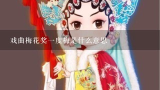 戏曲梅花奖1度梅是什么意思