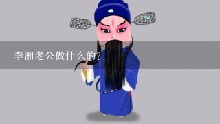 李湘老公做什么的？