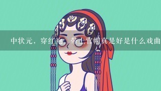 中状元，穿红袍，带上官帽真是好是什么戏曲选段？