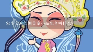 宋小宝演的侧美案小品配音叫什么?