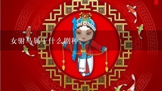 女驸马属于什么剧种?