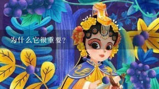 为什么它很重要？